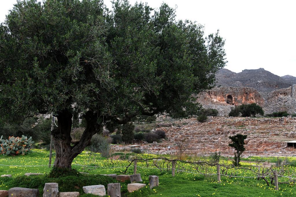 Villa Kalliopi Ιncreteble Cretan Resindences Collection Xerokampos  Eksteriør bilde