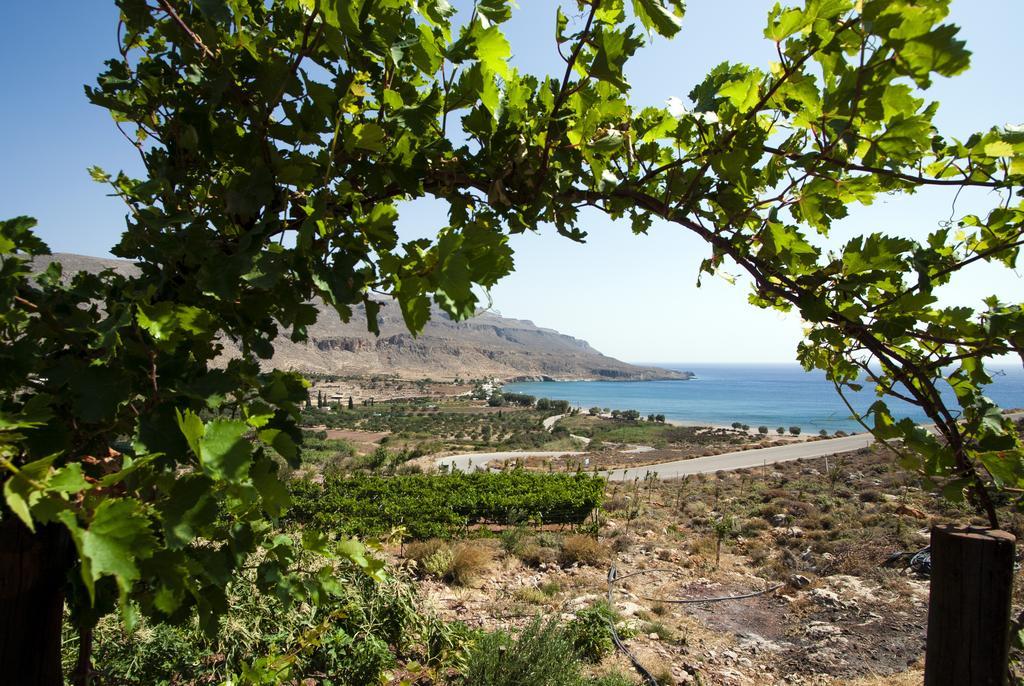 Villa Kalliopi Ιncreteble Cretan Resindences Collection Xerokampos  Eksteriør bilde