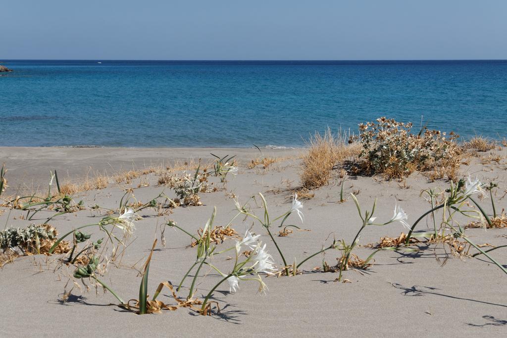 Villa Kalliopi Ιncreteble Cretan Resindences Collection Xerokampos  Eksteriør bilde