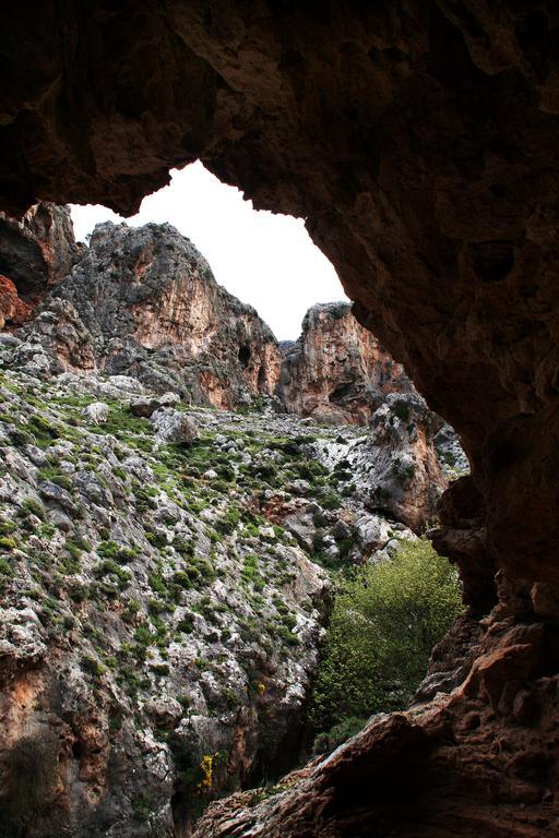 Villa Kalliopi Ιncreteble Cretan Resindences Collection Xerokampos  Eksteriør bilde