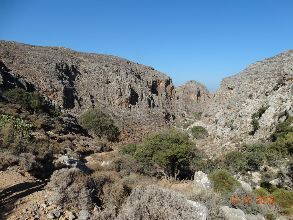 Villa Kalliopi Ιncreteble Cretan Resindences Collection Xerokampos  Eksteriør bilde