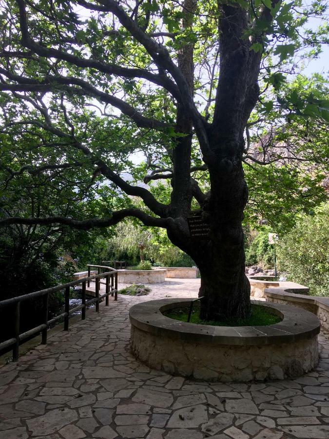 Villa Kalliopi Ιncreteble Cretan Resindences Collection Xerokampos  Eksteriør bilde