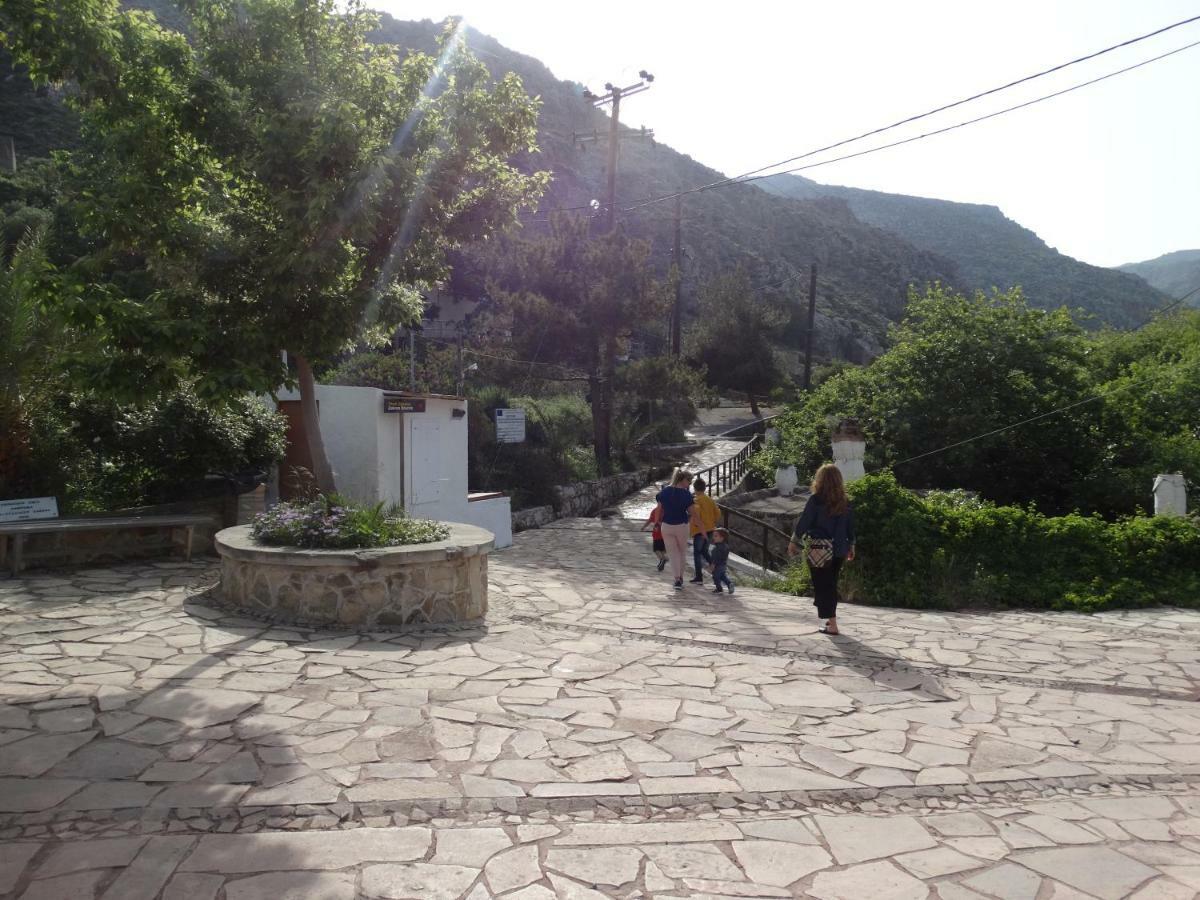 Villa Kalliopi Ιncreteble Cretan Resindences Collection Xerokampos  Eksteriør bilde
